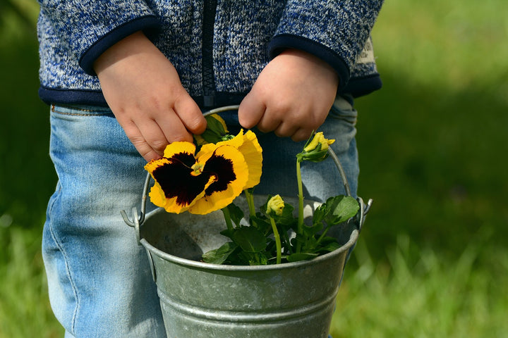 Un giardino montessoriano