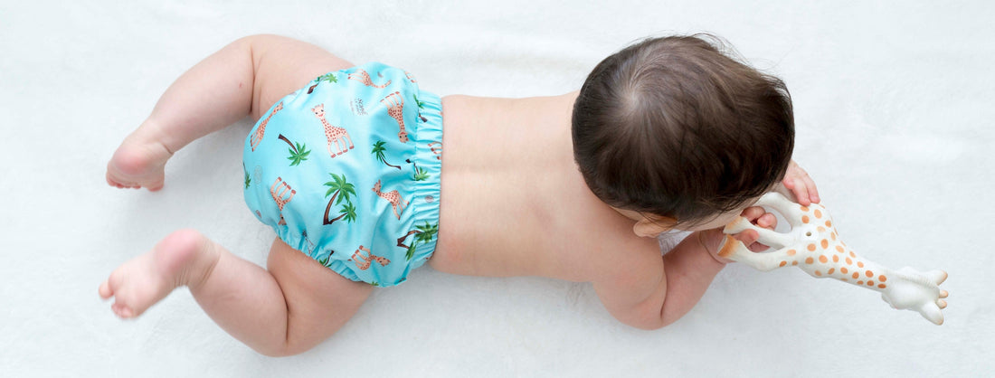 pannolini-lavabili-ecobaby-istruzioni-di-lavaggio-charlie-banana-rumparooz