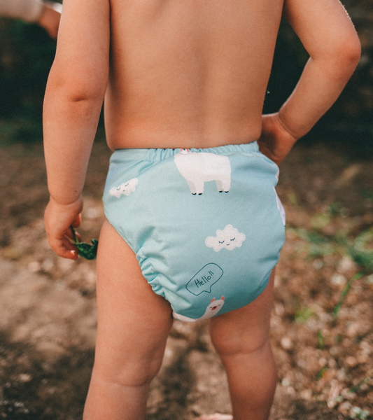 Pannolino Lavabile Pocket Belinda Wild