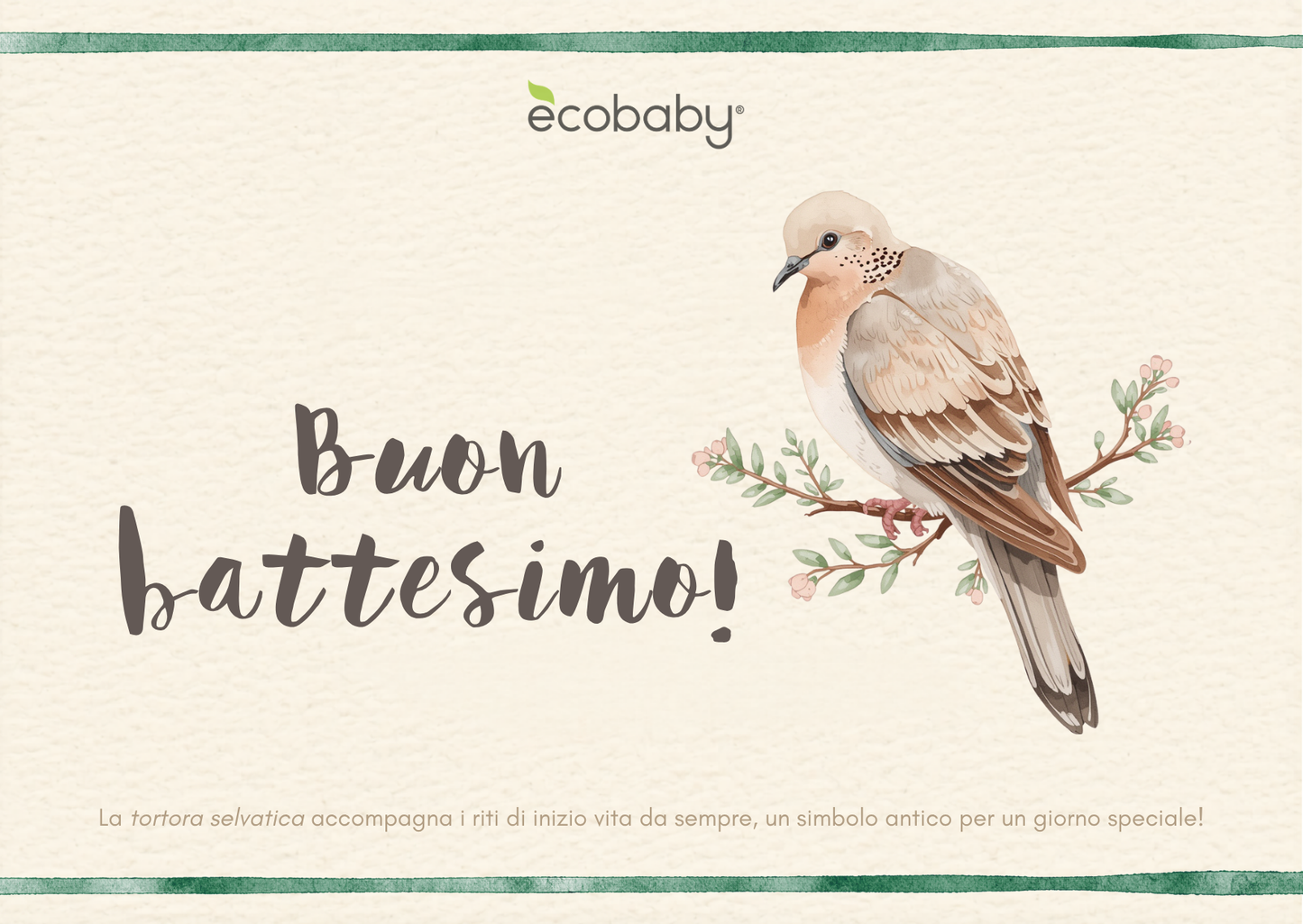 Gift Card Ecobaby