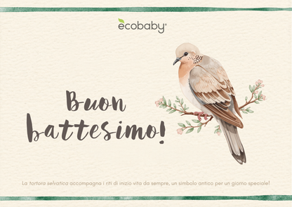 Gift Card Ecobaby