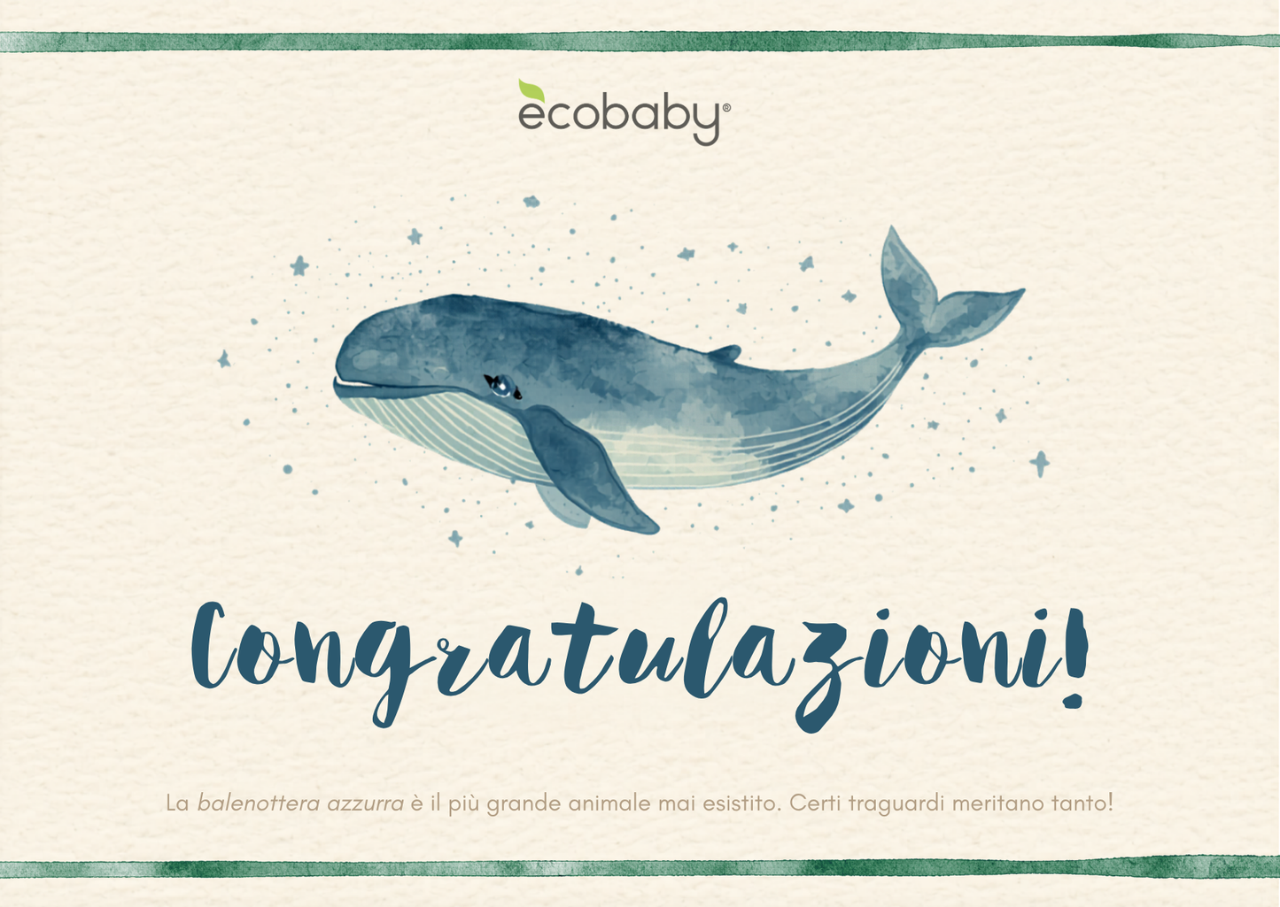 Gift Card Ecobaby