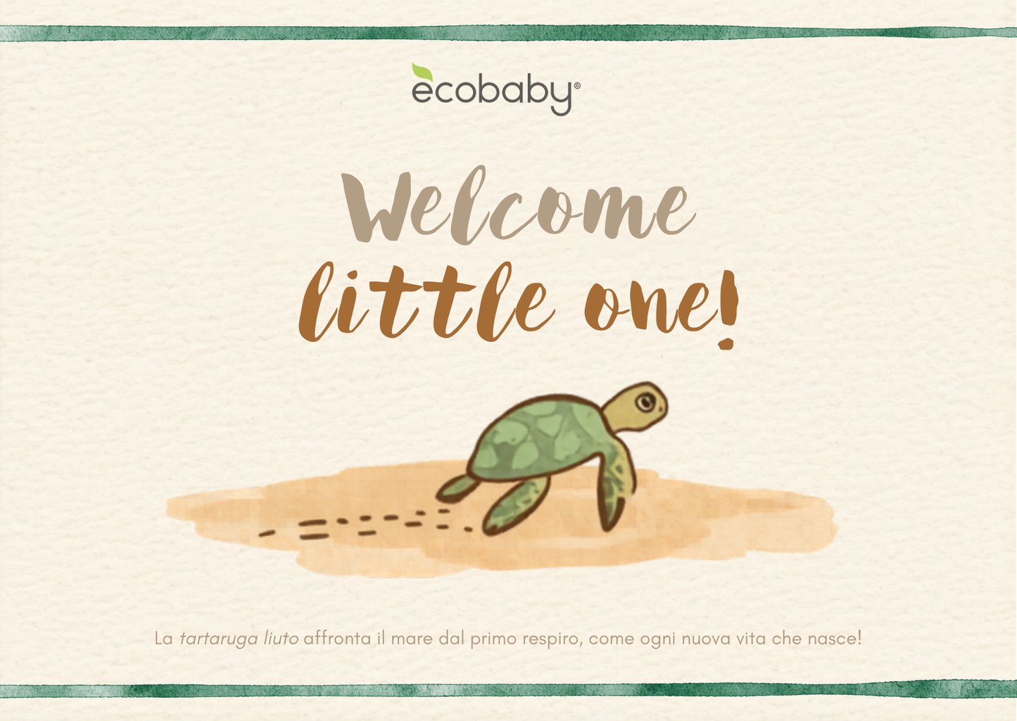 Gift Card Ecobaby