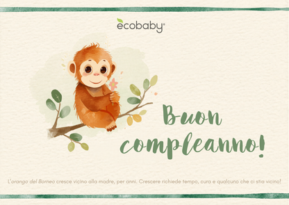 Gift Card Ecobaby