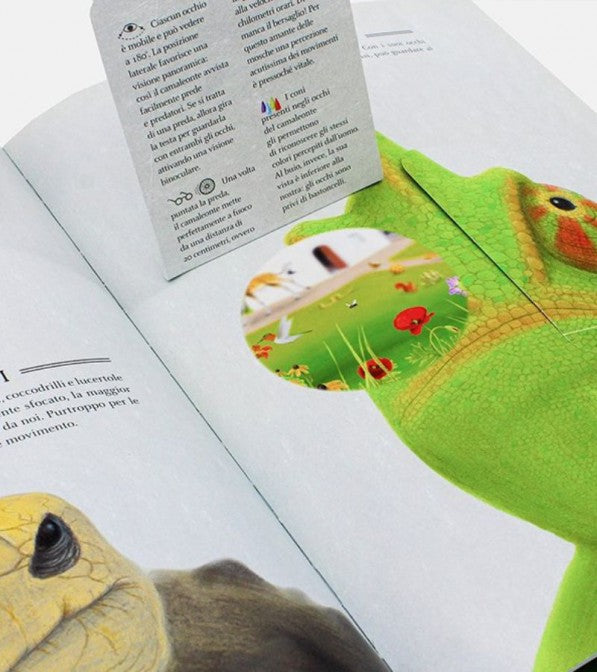 Guillaume Duprat - Zoottica