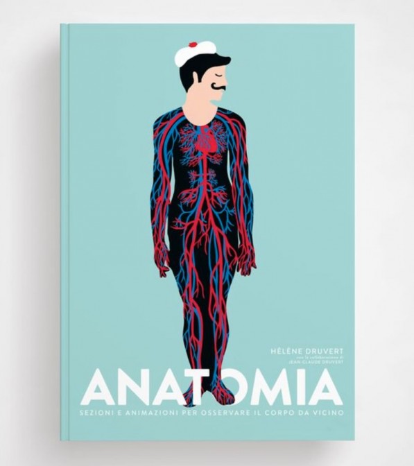 Hélène Druvert - Anatomia