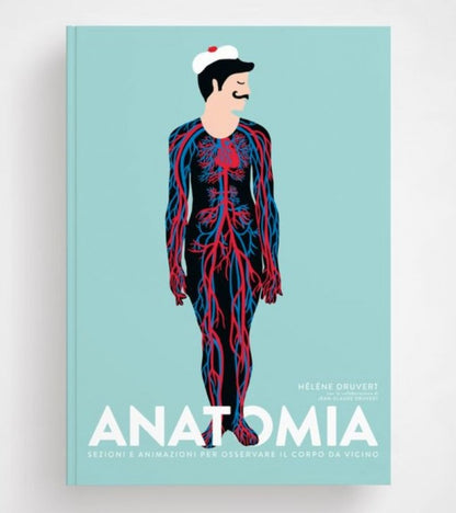 Hélène Druvert - Anatomia