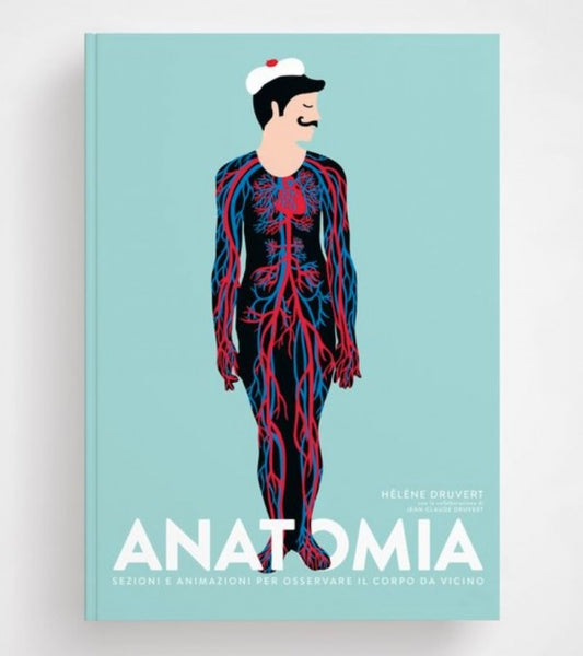 Hélène Druvert - Anatomia