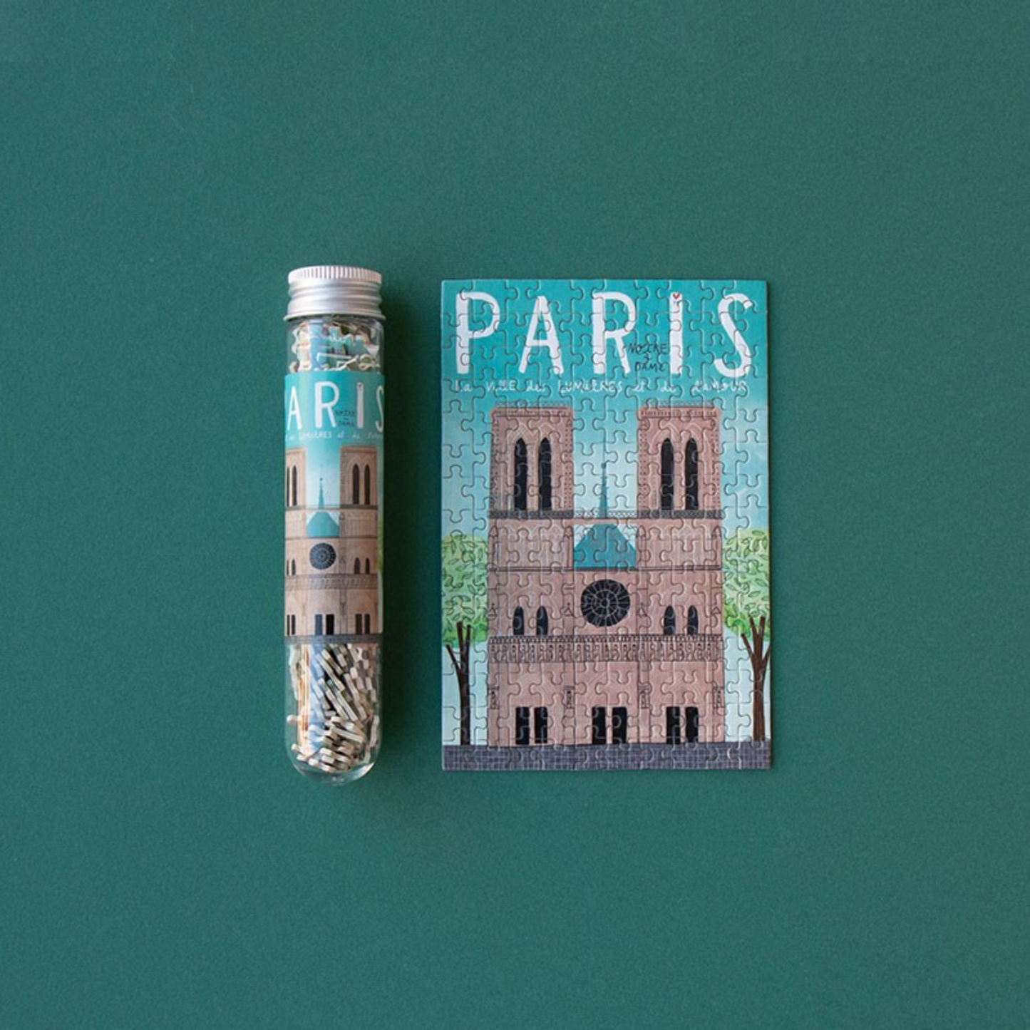 Micropuzzle Parigi