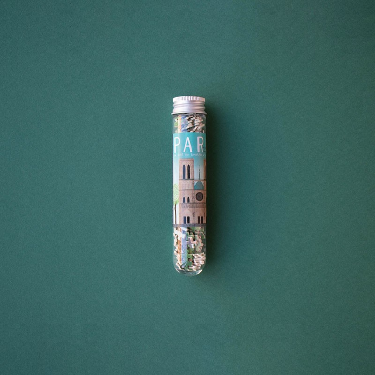 Micropuzzle Parigi