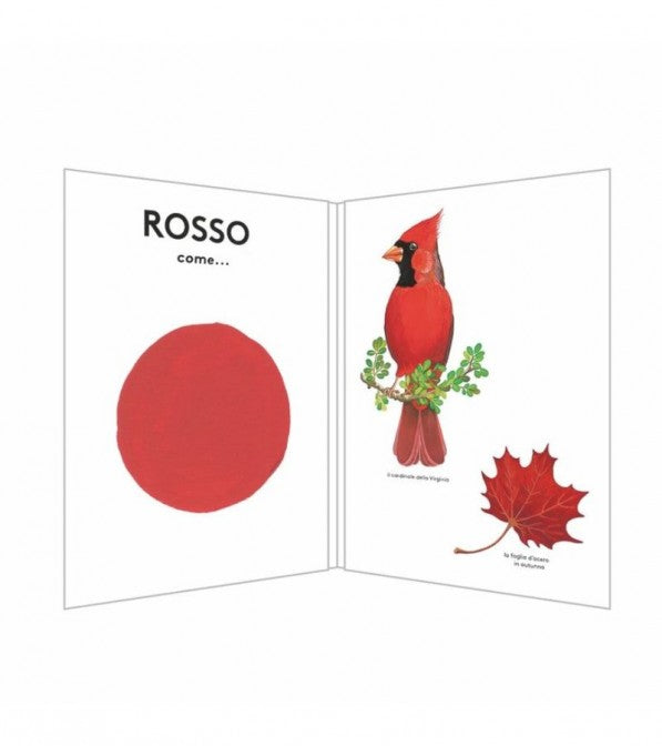 Pascale Estellon - Rosso come...
