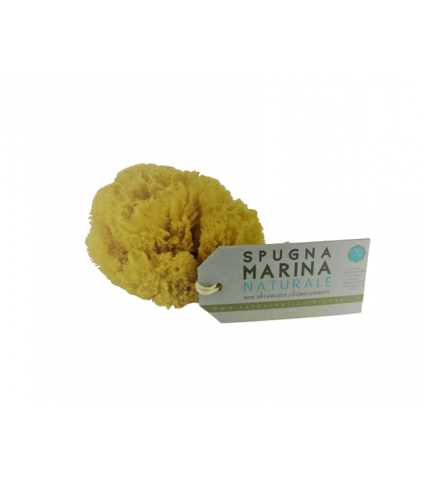 Spugna marina in misura adulti e bambini