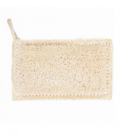 Spugna per piatti in luffa