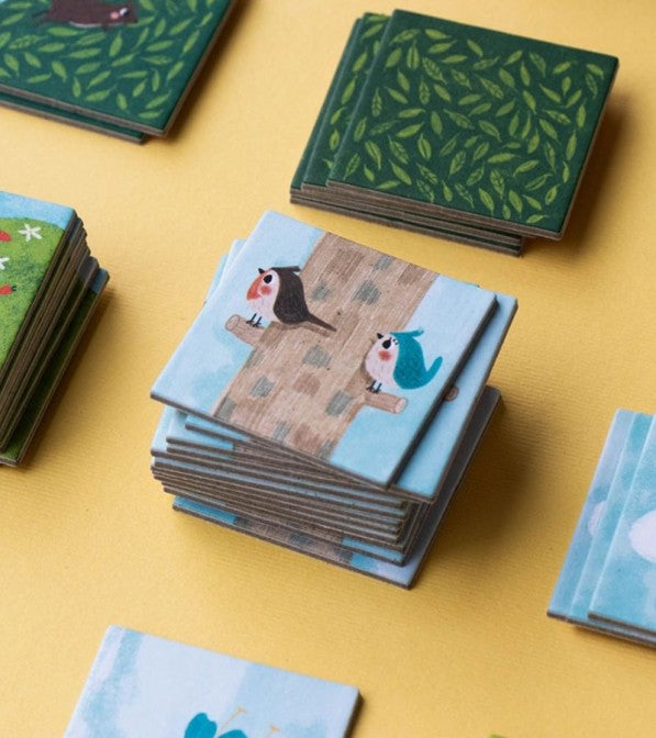 The Fairy & the Wizard