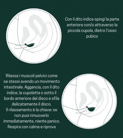 The Leaf disco mestruale