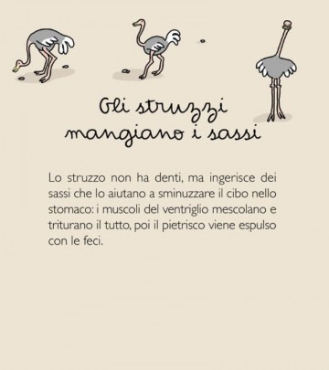 Hervé Eparvier, Soledad Bravi - Tu lo sapevi?