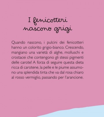 Hervé Eparvier, Soledad Bravi - Tu lo sapevi?