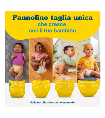 5X Pannolino lavabile Pocket One Size - Charlie Banana