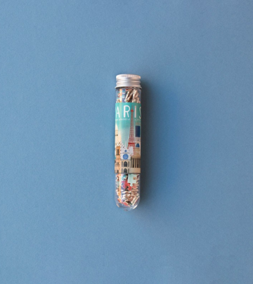 Micropuzzle Parigi