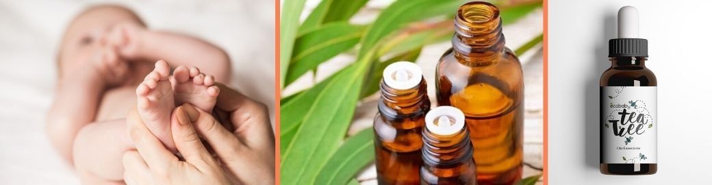 Tea Tree Oil e olio di mandorle al miglior prezzo - Ecobaby